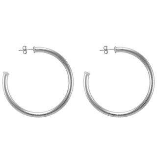 Small Everybody's Favorite Hoops - Brushed Silver Plated