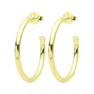 Everybody's Favorite Hoops, Small Shiny Gold