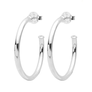 Everybody's Favorite Hoops, Small Shiny Silver
