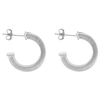 Ilana Hoops, Silver