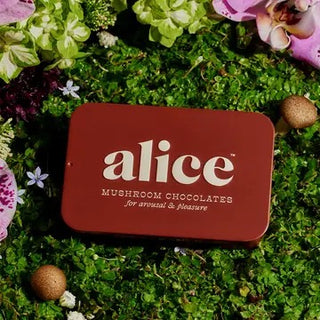 Alice Chocolates, Happy Ending